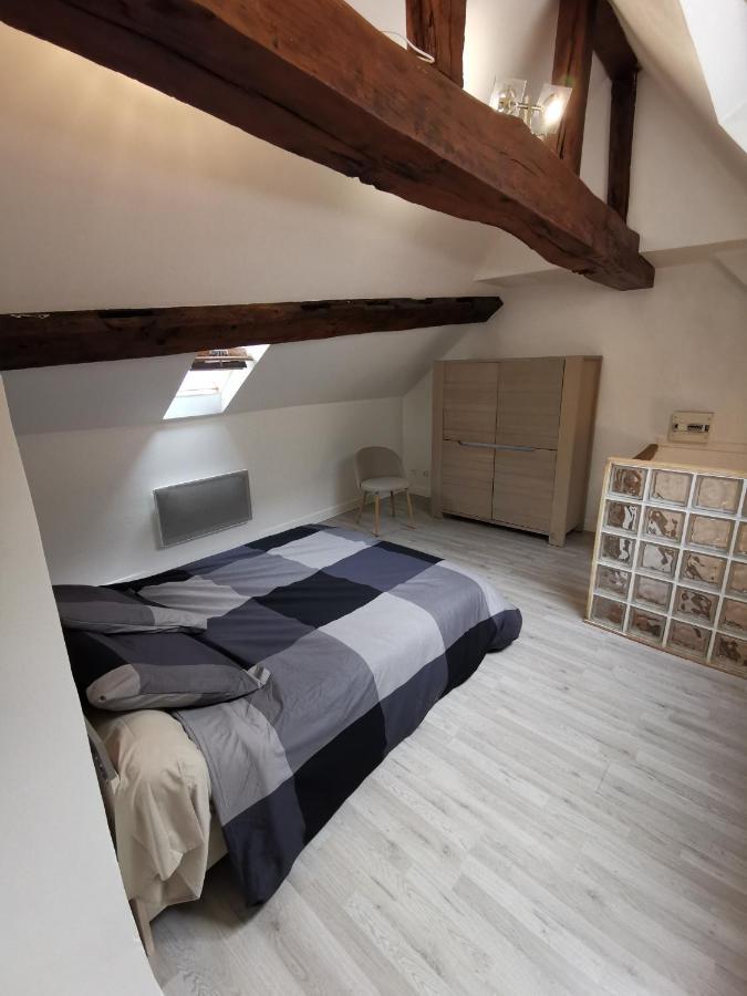Appartement Hyper Centre Au Bord De Loire 올리언스 외부 사진
